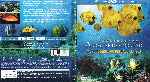 cartula bluray de Fascinacion - Arrecife De Coral 3d - Mundos Misteriosos Bajo El Agua - Pack