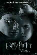 carátula carteles de Harry Potter Y Las Reliquias De La Muerte