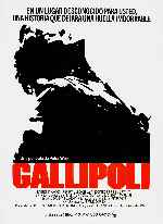 carátula carteles de Gallipoli
