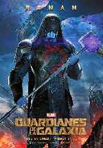 carátula carteles de Guardianes De La Galaxia - 2014 - V18