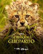 carátula carteles de National Geographic - La Tactica Del Guepardo