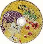 cartula cd de Dragon Ball - Dvd 19