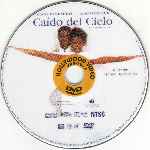 carátula cd de Caido Del Cielo - 1996 - Region 1-4