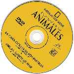 cartula cd de National Geographic - Enciclopedia De Los Animales - Volumen 05