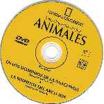 carátula cd de National Geographic - Enciclopedia De Los Animales - Volumen 07