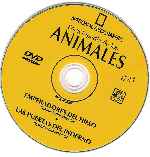 cartula cd de National Geographic - Enciclopedia De Los Animales - Volumen 11