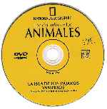 cartula cd de National Geographic - Enciclopedia De Los Animales - Volumen 15