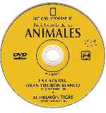 carátula cd de National Geographic - Enciclopedia De Los Animales - Volumen 17