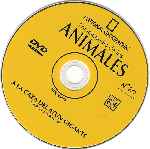 cartula cd de National Geographic - Enciclopedia De Los Animales - Volumen 20