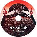 carátula cd de Amadeus - Custom