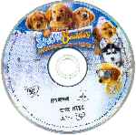carátula cd de Snow Buddies - Cachorros En La Nieve - Region 1-4