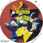 carátula cd de 3 Ninjas Contraatacan - Custom
