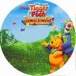 carátula cd de Mis Amigos Tigger Y Pooh - Cuentos De Amistad
