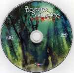 carátula cd de Bosque Siniestro - Region 1-4
