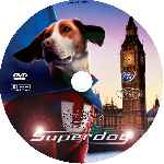 carátula cd de Superdog - Custom - V8