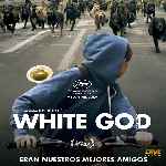 cartula frontal de divx de White God - Dios Blanco