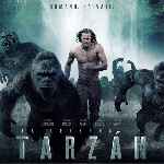 carátula frontal de divx de La Leyenda De Tarzan - 2015