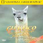 cartula frontal de divx de National Geographic - Guanaco El Camello Salvaje De Los Andes