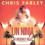 carátula frontal de divx de Un Ninja En Beverly Hills