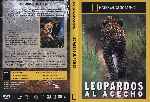 cartula dvd de National Geographic - Leopardos Al Acecho
