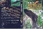carátula dvd de Bbc - Caminando Con Animales Prehistoricos - El Nuevo Amanecer