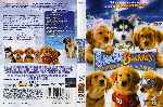 carátula dvd de Snow Buddies - Cachorros En La Nieve - Region 1-4