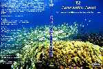 carátula dvd de National Channel - El Arrecife Azul - Custom