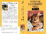 cartula vhs de National Geographic - Serie Oro - 10 - Gatos - Acariciando Un Tigre