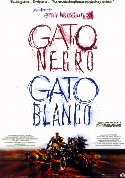 cinedirecto.net