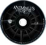 miniatura animales-fantasticos-y-donde-encontrarlos-disco-por-slider11 cover bluray