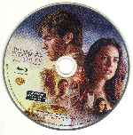 miniatura palmeras-en-la-nieve-disco-por-doona2000 cover bluray