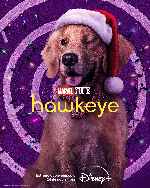 miniatura Hawkeye V6 Por Mrandrewpalace cover carteles