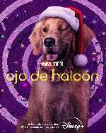 miniatura Ojo De Halcon V6 Por Mrandrewpalace cover carteles