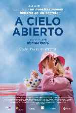 miniatura a-cielo-abierto-2013-por-mackintosh cover carteles