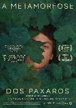 miniatura a-metamorfose-dos-paxaros-por-chechelin cover carteles