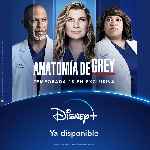 miniatura anatomia-de-grey-temporada-18-por-mrandrewpalace cover carteles