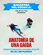 miniatura anatomia-de-una-caida-v3-por-mrandrewpalace cover carteles