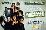 miniatura animales-de-compania-v3-por-peppito cover carteles