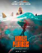 miniatura animales-peligrosos-por-chechelin cover carteles