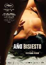 miniatura ano-bisiesto-2010-por-peppito cover carteles