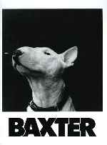 miniatura baxter-por-frankensteinjr cover carteles