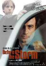 miniatura before-the-storm-antes-de-la-tormenta-por-alcor cover carteles