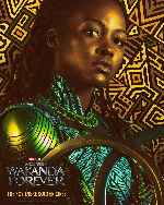 miniatura black-panther-wakanda-forever-v17-por-mrandrewpalace cover carteles