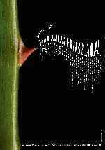 miniatura caigan-las-rosas-blancas-por-chechelin cover carteles