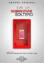 miniatura como-sobrevivir-soltero-v06-por-mrandrewpalace cover carteles