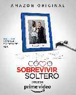 miniatura como-sobrevivir-soltero-v07-por-mrandrewpalace cover carteles