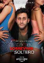 miniatura como-sobrevivir-soltero-v11-por-mrandrewpalace cover carteles