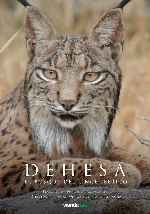 miniatura dehesa-el-bosque-del-lince-iberico-por-chechelin cover carteles