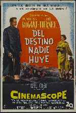 miniatura del-destino-nadie-huye-por-melegar cover carteles