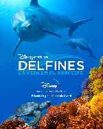 miniatura delfines-la-vida-en-el-arrecife-por-mrandrewpalace cover carteles